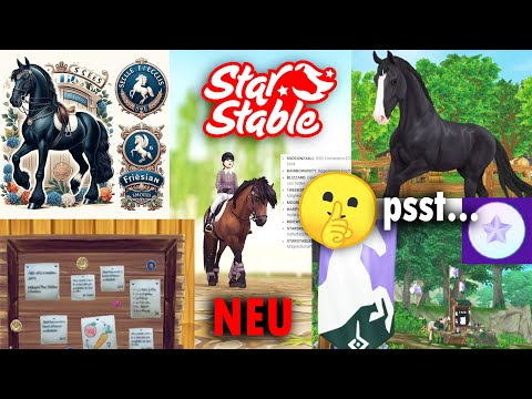 SSO haut mich um! 😍 DAS kommt alles NEU 😲👆🏼 SSO Analyse