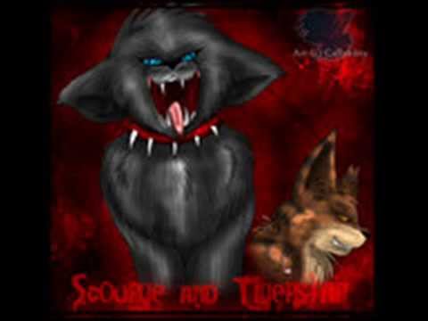 scourge contest