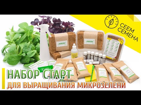Набор для выращивания микрозелени СТАРТ | Как посеять семена микрозелени?