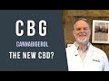 What Is CBG Cannabigerol Is It The New CBD