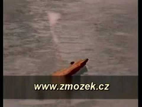 Ave Maria  - Jiří Zmožek