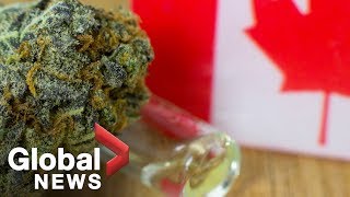 What tourists need to know about pot legalization in Canada