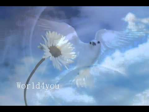 Eldin Huseinbegovic Soko Sa Tabije