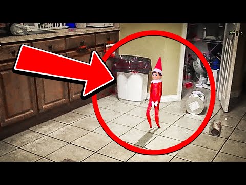 50 Elf on the shelf caught moving on camera walking & talking! 😱