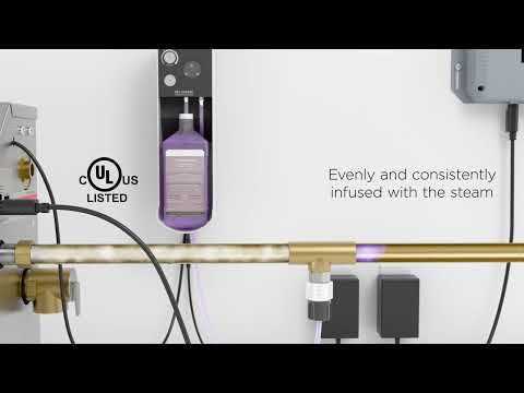 Mr. Steam - AromaSteam with iSteamX