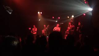 2017-10-03 Travelin' McCourys @ Rex Theater Tom Petty Tribute "Love is a Long Long Road"