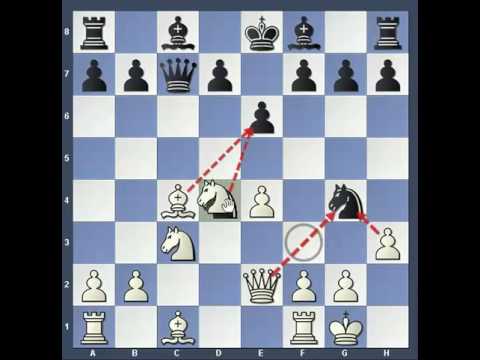 Trappole in Apertura 17 - Siberiana