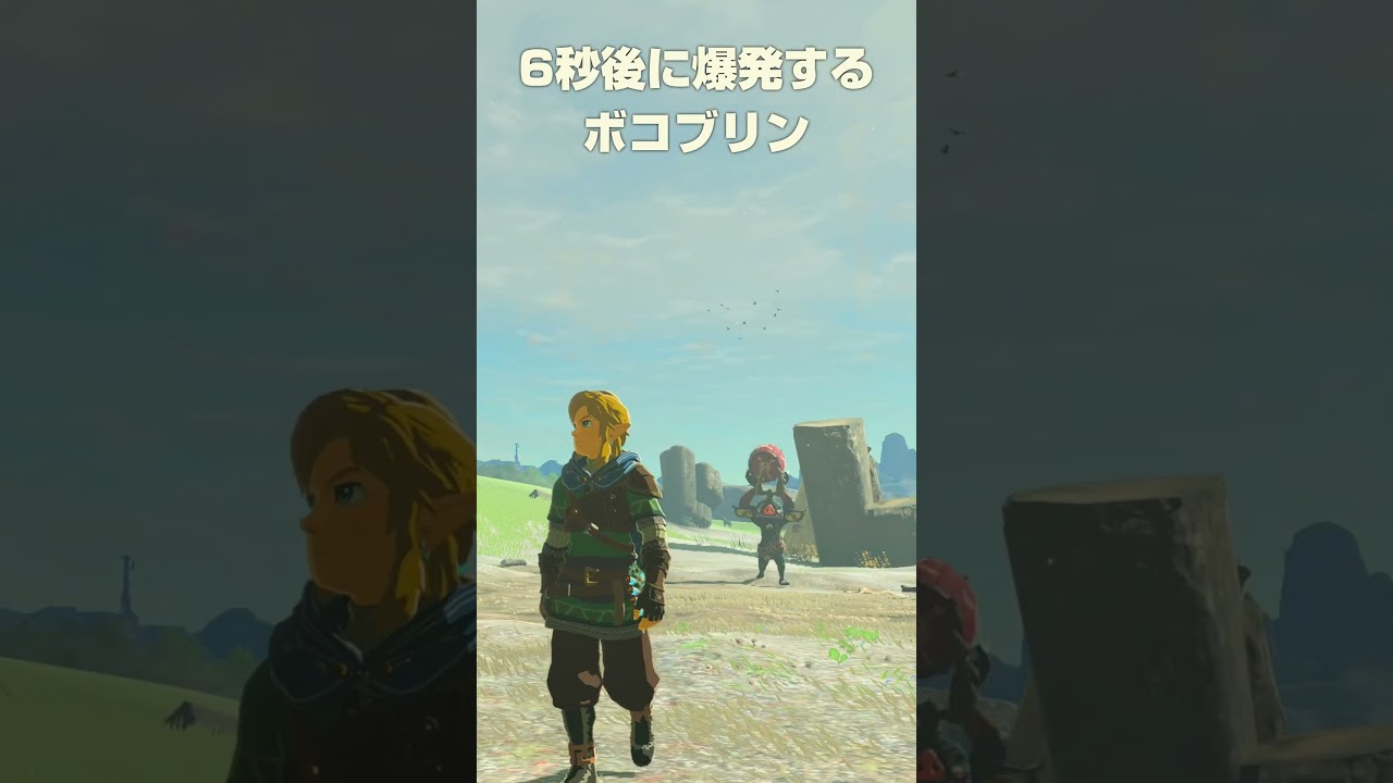 6秒後に爆発するボコ【ゼルダの伝説 ティアーズオブザキングダム】
