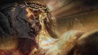 Soulfly -  Soulfliktion - Fan made Music Video