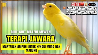 Download lagu 🔴KENARI GACOR Panjang - PANCINGAN Kenari Paud Belajar BUNYI - KENARI Belajar BUNYI Ngeriwik mp3 Download lagu 🔴KENARI GACOR Panjang - PANCINGAN Kenari Paud Belajar BUNYI - KENARI Belajar BUNYI Ngeriwik mp3