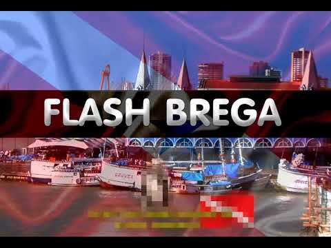 FLASH BREGA O QUE ME FEZ TE AMAR  LUCAS