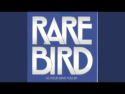 What You Want to Know (mono Version)