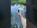 RIA 1911 .45 ACP, 15 round extendo