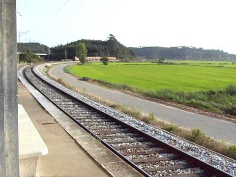 Comboio de Cimento n.º 57637 - Reveles