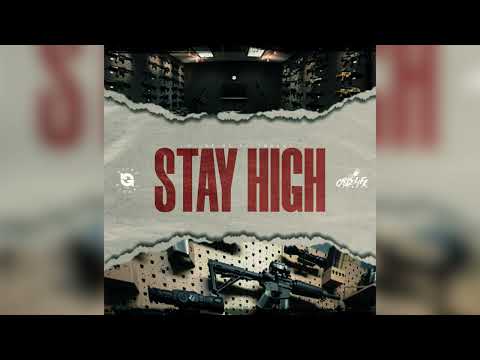 Wildlife Pettodene - Stay High (Official Audio)