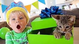 BIRTHDAY KITTEN SURPRISE! - Ollie’s 3rd Birthday Special