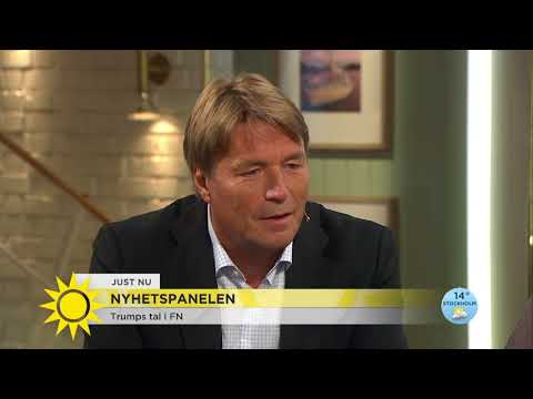 Ordkriget mellan Donald Trump och Kim Jong-Un: ”Man vore mer förvånad om han sa något annat!” - Nyhe