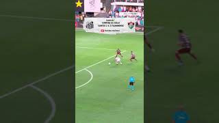 ⚽ GOLS: SANTOS 2 X 3 FLUMINENSE - VITÓRIA TRICOLOR, DE VIRADA, NA VILA!