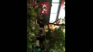 Download lagu Musik Ranggea Indie - Gammara mp3