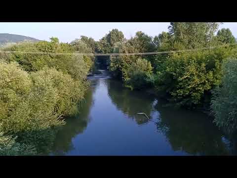 crisul alb sebis buteni Arad