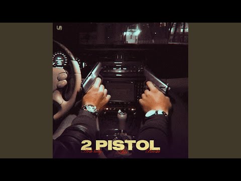 2 Pistol