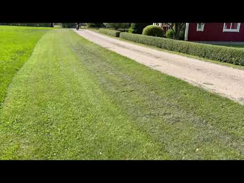 Videoklipp