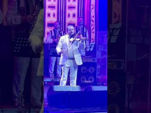 Cuculețul din Clejani - Zdob și Zdub, live, Sala Palatului, 13 mai 2025 #zdobsizdub #rock #folkrock