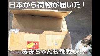 【開封動画】開封しようとしたら、みみちゃんも乱入⁉中身は、ほぼ姉から息子へのみつぎ物だった件。