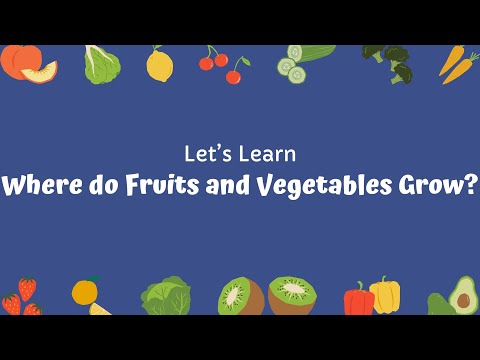 Where do fruits and vegetables grow?
