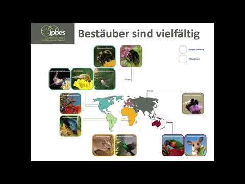 Strukturvielfalt für mehr Biodiversität in der Agrarlandschaft - Josef Settele