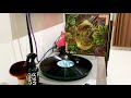 Spyro Gyra - Safari (Vinyl LP Record) [MCA-5108]