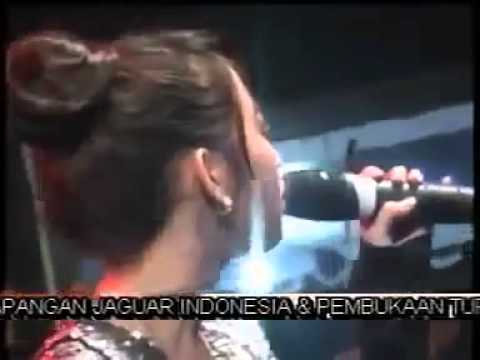 Teman biasa (rena kdi) om monata by:caktho