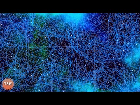 Deep Brain Recovery: 20-Min Nerve Support Sound Therapy