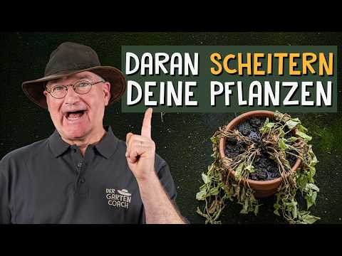 Topfpflanzen-Erfolg: Substratwahl optimieren!