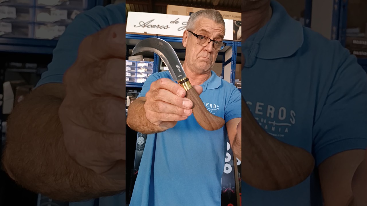 Old Bear Bill Hook Walnut pocket knife