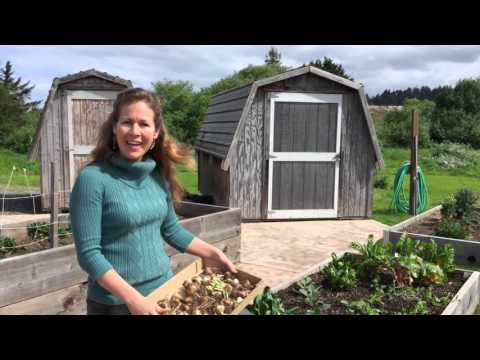 Arcata Elementary School