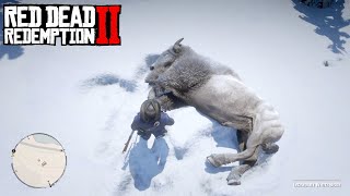 RDR2 How to hunt Legendary White Bison
