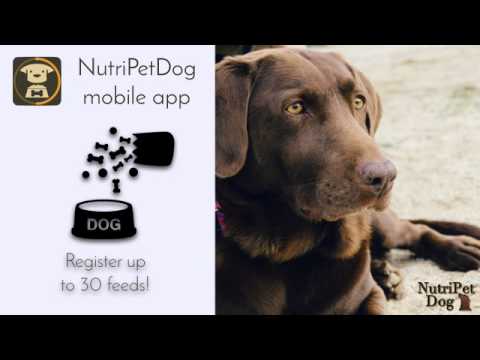 NutriPetDog, dog nutrition