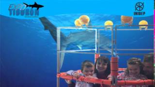 DIA 2 Expo Tiburon153