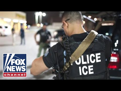 ICE holds press briefing on illegal alien sex offender bust in Florida