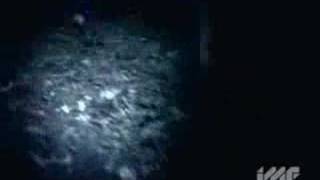 Youth Group - &#39;&#39;Catching and killing&#39;&#39;