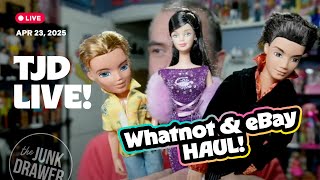 The one with the giant Whatnot and eBay Haul!