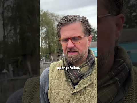 VOGELGRIPPE IN BRANDENBURG: Über 1000 Kraniche tot – Virus breitet sich rasant aus #shorts