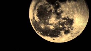 16 Horsepower - Bad Moon Rising