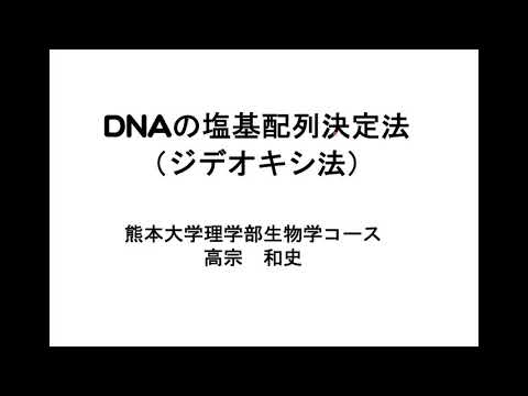 理学部　高宗教授模擬授業