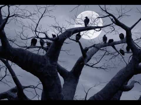 Seyer - Cuervos (Ft. Andrik Dircio y Razko)