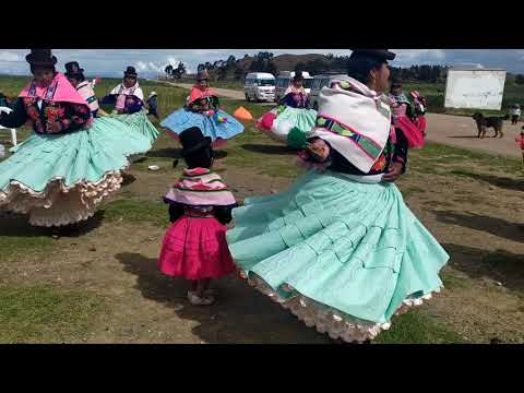 Chacallada y Tarqueada REAL COMPACTO C.P Ccopamaya Acora-Puno-Perú