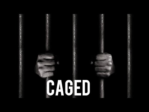 Jim Davies - Caged (Empirion Remix)