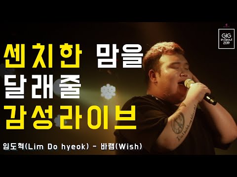 Lim Do hyeok - Wish  ｜[ENG SUB]
