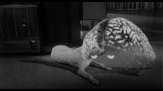 The Brain From Planet Arous (1957) The Brain Explains